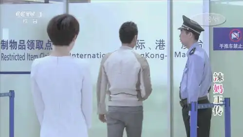 电视剧辣妈正传38集全2013.hdtv.720p