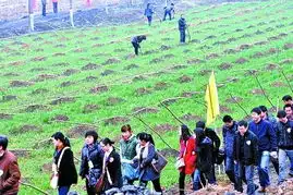 单身男女新密种下爱情树