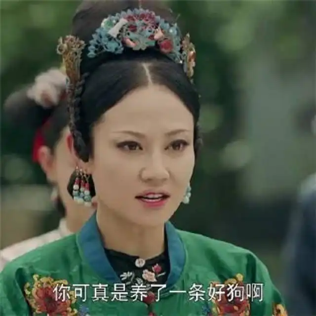 延禧攻略斗图表情包你给朕闭嘴你过来打我呀
