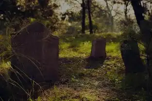 曲终人散殊途同归