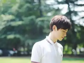 十大90后帅哥小鲜肉颜值大pk