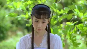 高洋演过的电视剧剧照姚