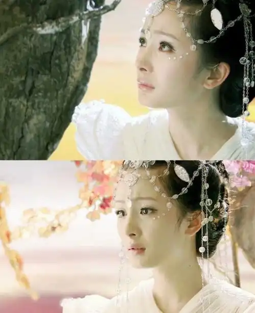 杨幂电影走出国门他却说是野鸡奖遭粉丝围攻
