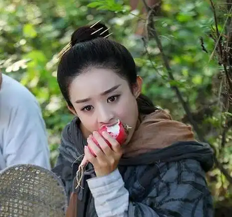 她是胡歌最牛粉丝,为了追求胡歌,结果把自己追成一线巨星