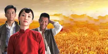 红高粱讲的什么故事