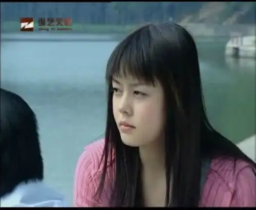 电视连续剧一言为定左小青苏楠潘市长的女儿这四个要素有何联系
