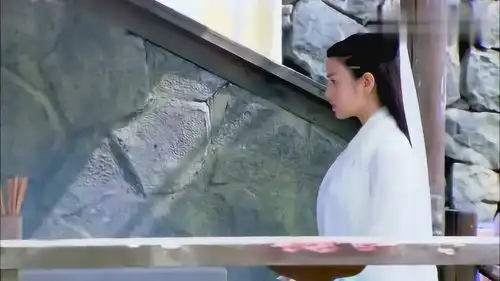 神雕侠侣一说起小龙女,甄志丙就满脸歉意,真是卑微