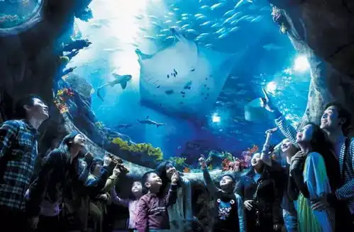 香港澳门,现在不去,更待何时
