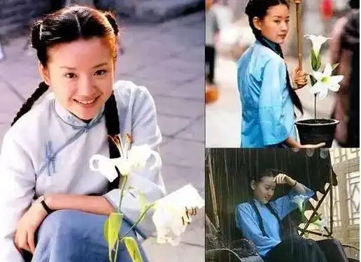 从金粉世家虎妈猫爸到三国机密,她美貌不变演技在变