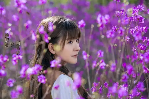 北国英雄首播,乔任梁遗作,郭品超热依扎主演,东北抗日大剧