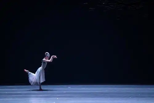 十年了,舞剧朱鹮为何常演不衰
