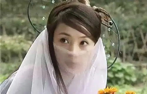 蒋勤勤饰演的角色除了练霓裳和夏盈盈,还有更美的她们你们看过吗
