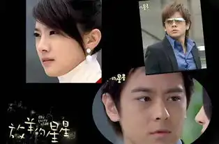 如何评价电视剧放羊的星星