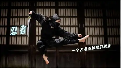 忍者组织用孤儿进行超强度训练,飞檐走壁个个身手了得下