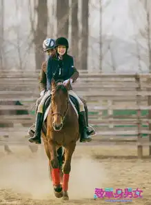 致单身男女剧照
