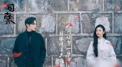 张彬彬开启霸屏模式一次性带来4部作品,女主一个比一个美