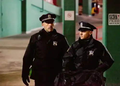 风中抢钱台风版速度与激情