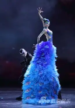 国家大剧院舞蹈节开幕杨丽萍孔雀亮相
