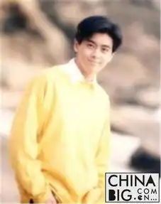 曝林志颖与陈若仪恋爱全过程揭其个人资料及身家背景2
