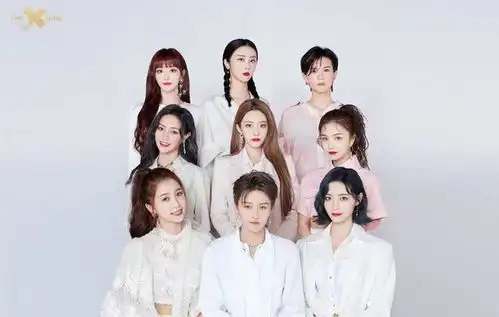 王嘉尔假唱音乐节上的垫音到底是怎么回事
