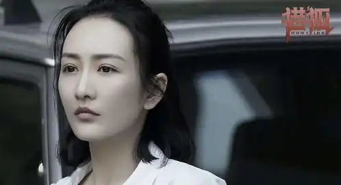 新剧预告猎狐10月11日燃情来袭
