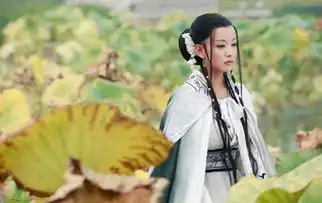 西厢记央视热播宫羽周奇奇变身崔莺莺