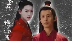 流浪小三花猫的小哥哥来找她玩儿