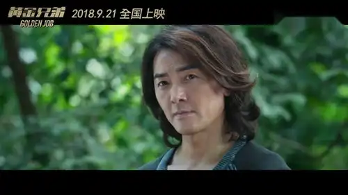 岁月鎏金国语黄金兄弟电影推广曲
