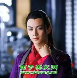 陈晓笑傲江湖发型造型图片
