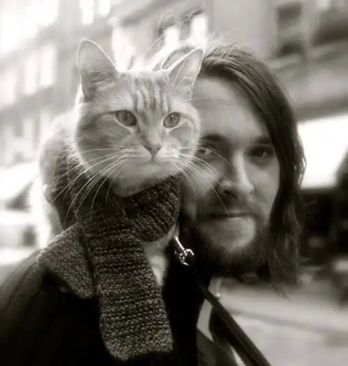 流浪猫鲍勃突然去世,14年喵生今朝已完,改变一个人,感动无数人