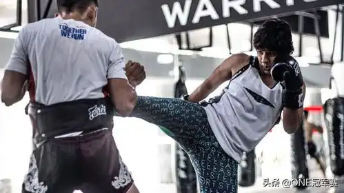 印度悍娇虎瑞图佛加我要一回合ko最强女护士