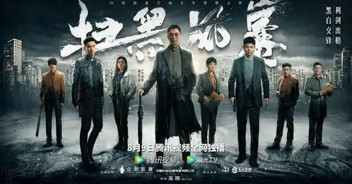 扫黑风暴全集资源泄露,剧组发布反盗版声明,网友追个寂寞