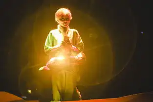 小王子票房获胜粉丝经济开启音乐剧新纪元
