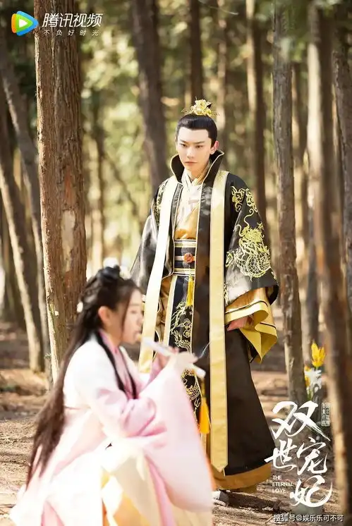 双世宠妃3她是剧中最幸福的女人,拥有最美好的结局