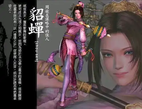 真三国无双4武将人设图
