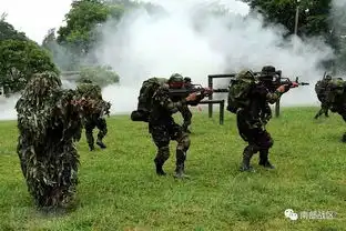 我军第一支特战部队南国利剑