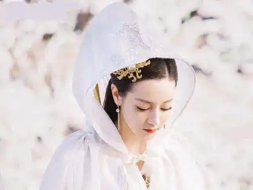 迪丽热巴的美图