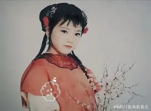 87版红楼梦也有过小林黛玉,小戏骨为理解宝黛钗爱情提供了活样本
