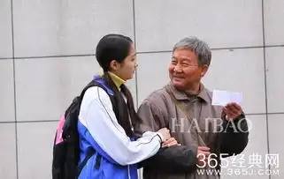 2016年电视剧收率前十位出炉翻译官高居榜首,红色剧不甘落后占三席
