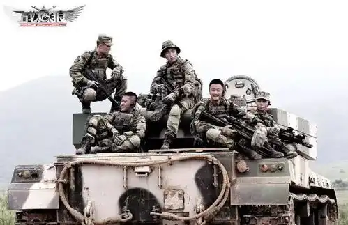 战狼孤胆英雄,燃之国威
