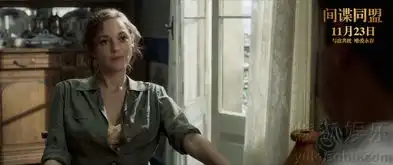 间谍同盟定档11.23曝预告皮特携手玛丽昂8765877