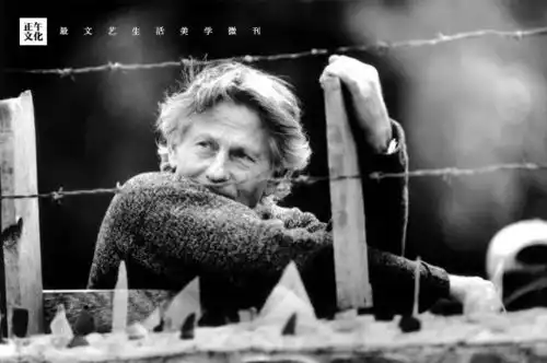 电影波兰斯基钢琴家音符取代子弹,也流淌出正义战胜邪恶的宣言