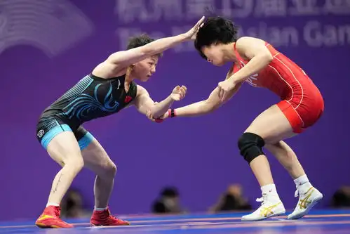 摔跤女子自由式53公斤级赛况