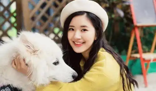 于正内涵赵露思回顾往昔,于正的小作文可扫射过不少大明星