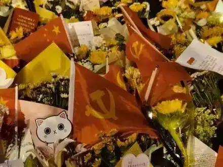 热血你看了没

