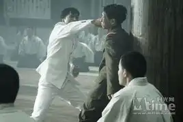 甄子丹精武风云出招过万一拳可断5根肋骨