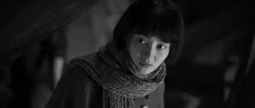 南京南京将在日本最大视频网站上映
