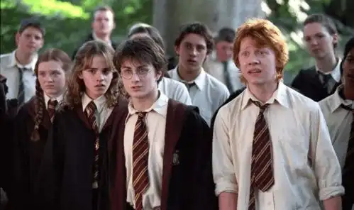 哈利波特剧组重聚海报曝光,男一号大胡子沧桑,赫敏和小时一样美
