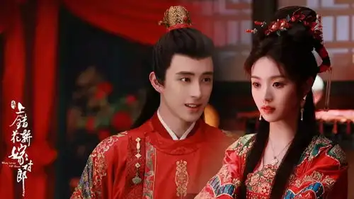 肖战杨洋赵露思迪丽热巴谁能成为这个夏天的爆款王