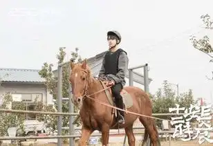 易烊千玺演戏骑马两门棒长安十二时辰特辑
